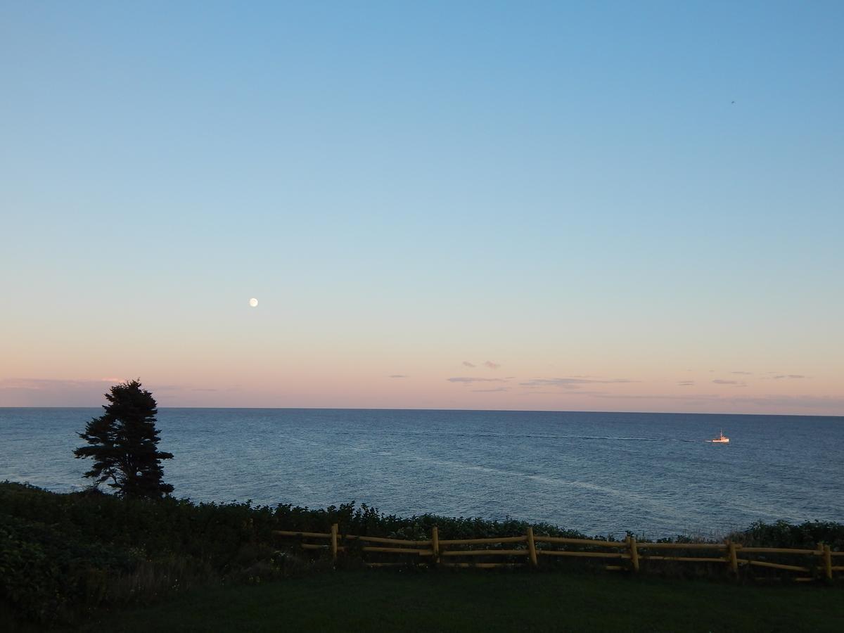 Les Chalets Brise-De-Mer Sainte-Therese-de-Gaspe Exterior foto